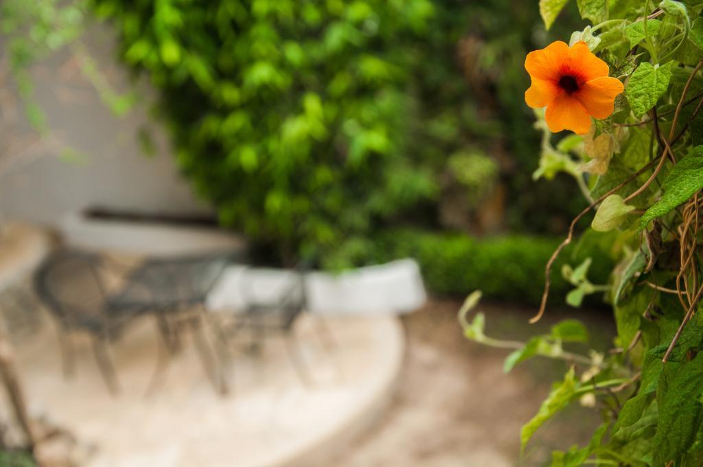 Casa Del Alba Hotel San Cristóbal de Las Casas エクステリア 写真